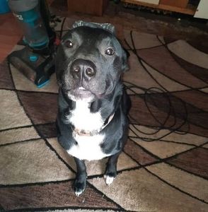 Meet your Posher, Chad